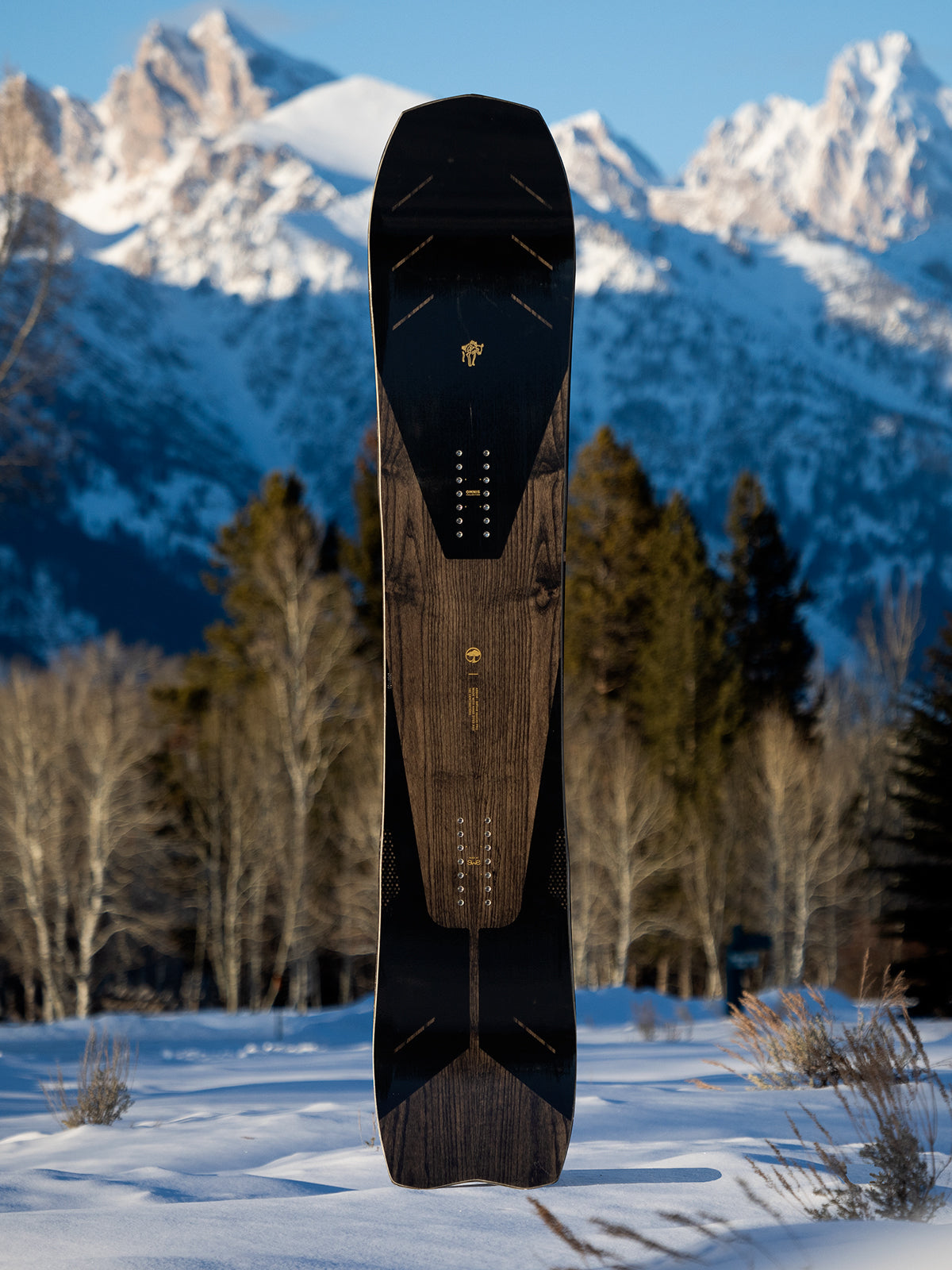 Tabla de Snowboard Arbor - Bryan Iguchi Pro