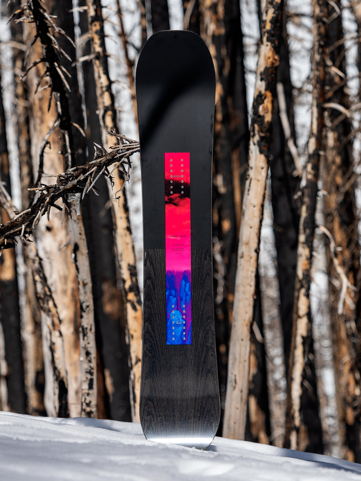 Tabla de Snowboard Arbor - Rain