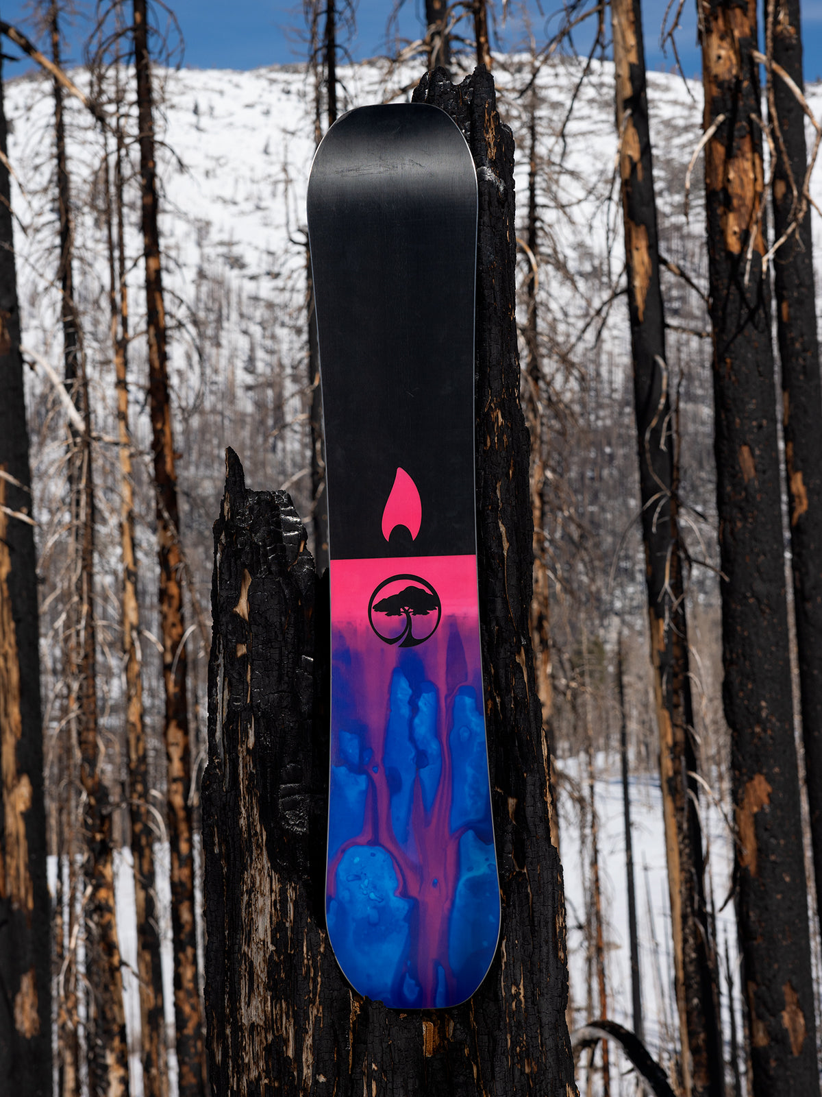 Tabla de Snowboard Arbor - Rain