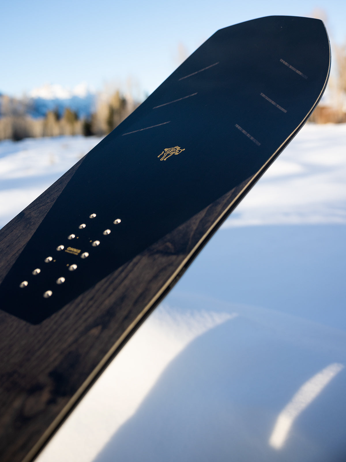 Tabla de Snowboard Arbor - Bryan Iguchi Pro